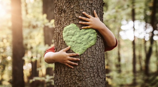 Co pozostaje po projekcie? Trwałość, replikacja i partnerstwo w programie LIFE